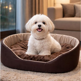 Best for Pets Hundebett als gemütliche Hundehütte mit Kissen für kleine Hunde, wasserdicht und waschbar – Bild 1 von 3