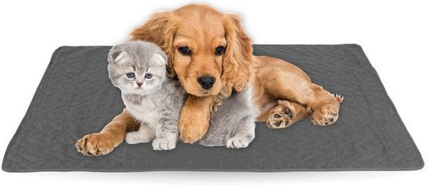Bestlivings Gesteppte Hundedecke aus Polyester in Grau mit ÖKO-TEX 100 Zertifizierung 60x80cm – Bild 1 von 12