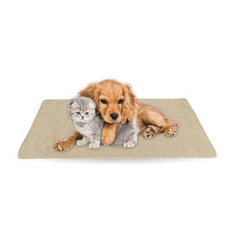 Bestlivings Hundedecke Beige ÖKO-TEX Standard 100 Steppdecke für Hunde und Katzen Größe S – Bild 1 von 7