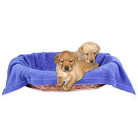 Produktbild von Bestlivings Hundedecke Kuscheldecke für Haustiere aus Polyester Blau 60x80 cm