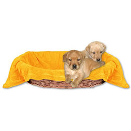 Bestlivings Hundedecke Kuscheldecke für Haustiere aus Polyester in Hellorange Marigold 60x80 cm – Bild 1 von 7
