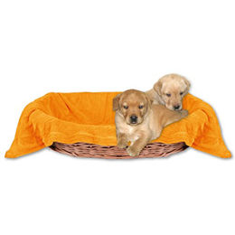 Bestlivings Hundedecke Kuscheldecke für Haustiere Orange Apricot 70x100 cm – Bild 1 von 4