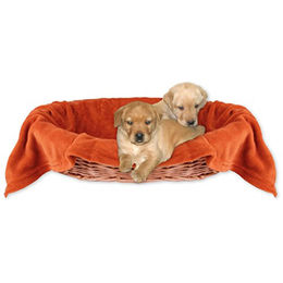 Bestlivings Hundedecke Kuscheldecke für Hunde aus Polyester in Terracotta-Ochre 70x100 cm – Bild 1 von 7
