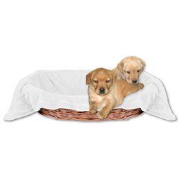 Bestlivings Hundedecke Kuscheldecke für Hunde aus Polyester in Weiß Champagner 60x80 cm – Bild 1 von 7