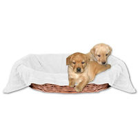Produktbild von Bestlivings Hundedecke Kuscheldecke für Hunde aus Polyester in Weiß Champagner 60x80 cm