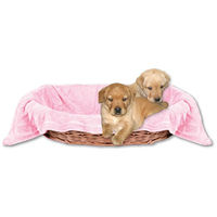Produktbild von Bestlivings Hundedecke Kuscheldecke für Hunde in Rosa 90x140 cm