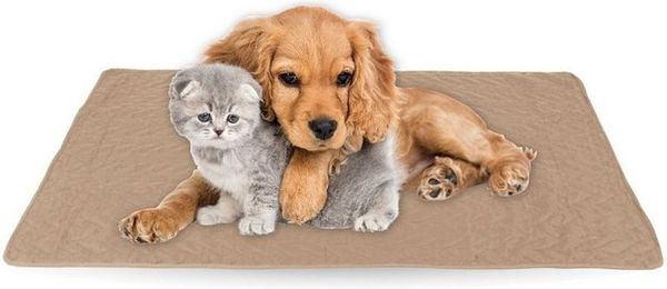 Bestlivings Hundedecke und Katzendecke aus Polyester mit ÖKO-TEX 100 Standard in Beige – Bild 1 von 12