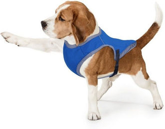 Bestlivings Kühlweste für Hunde Blau Atmungsaktiv und Reflektierend aus Polyester Größe S – Bild 1 von 6