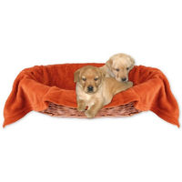 Produktbild von Bestlivings Kuschel-Tierdecke für Hunde und Katzen aus Polyester in Orange