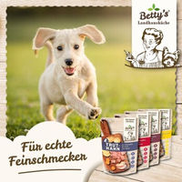 Produktbild von Betty's Landhausküche Hundefutter Truthahn mit Kartoffel Stückchen in Sauce getreidefrei und glutenfrei 10 x 300 g - 10 x 300 g