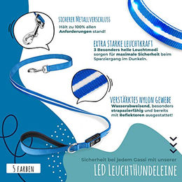 BI International Hundeleine aus Nylon mit LED für hohe Sichtbarkeit in Grün und Blau - 1,1 m – Bild 1 von 6