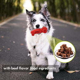 BI International Kauspielzeug aus Naturkautschuk für Hunde in Rot – Bild 1 von 6