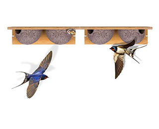 BigDean Doppel-Schwalbennistkasten aus Holz für Wildvögel 2 Stück – Bild 1 von 12