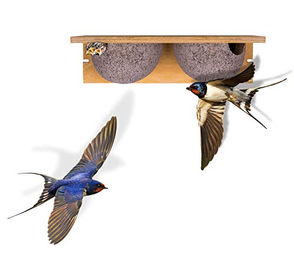 BigDean Schwalbennistkasten Doppelnest aus Holzbeton für Wildvögel in Braun und Grau – Bild 1 von 13