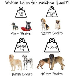 Produktbild von bio-leine Biothane Schleppleine für Hunde Orange 12 m - 12 m