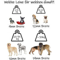 Produktbild von bio-leine Biothane Schleppleine für Hunde Orange 12 m - 12 m