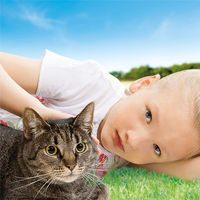 Produktbild von Biokanol Formel-Z Ergänzungsfuttermittel Tabletten für Katzen 125 g - 104 Stk.