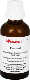 Biokanol Pharma Ferrosal 17 Vet Vitamintropfen – Bild 1 von 1