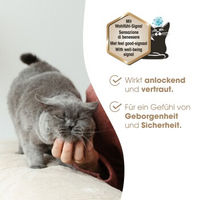 Produktbild von Biokat's Diamond Care Attracting & Care Klumpstreu mit Aloe Vera 2x10 l