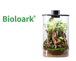 Bioloark Bio Bottle ZD 200 Mini Terrarium Transparent – Bild 1 von 4