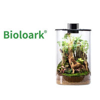 Produktbild von Bioloark Bio Bottle ZD 200 Mini Terrarium Transparent