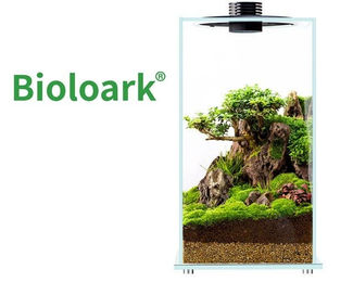 Bioloark Wabi Kusa Bio Bottle FD250 Mini Terrarium mit Beleuchtung für Pflanzen – Bild 1 von 1