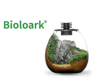 Produktbild von Bioloark Wabi Kusa Bio Bottle PD170 Mini Terrarium mit Beleuchtung und transparentem Design