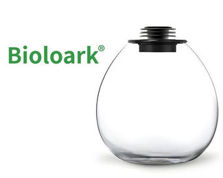 Produktbild von Bioloark Wabi Kusa Bio Bottle PD210 Mini Terrarium mit Beleuchtung und transparentem Design