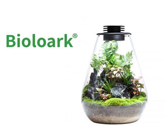 Produktbild von Bioloark Wabi Kusa Bio Bottle SD175 Mini Terrarium mit Beleuchtung und transparentem Design