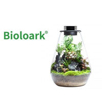 Produktbild von Bioloark Wabi Kusa Bio Bottle SD175 Mini Terrarium mit Beleuchtung und transparentem Design
