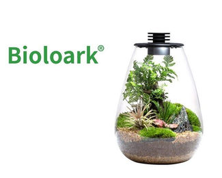 Produktbild von Bioloark Wabi Kusa Bio Bottle SD200 Mini Terrarium mit Beleuchtung transparent