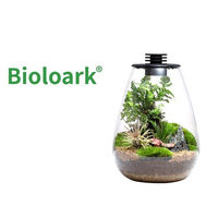 Produktbild von Bioloark Wabi Kusa Bio Bottle SD200 Mini Terrarium mit Beleuchtung transparent