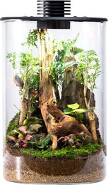 Bioloark Wabi Kusa Bio Bottle ZD 150 Mini Terrarium mit Beleuchtung Transparent – Bild 1 von 2