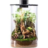 Produktbild von Bioloark Wabi Kusa Bio Bottle ZD 150 Mini Terrarium mit Beleuchtung Transparent