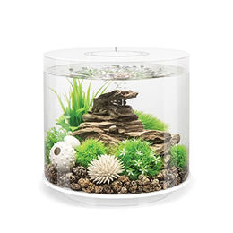 biOrb 72063 TUBE 15 LED Aquarium Komplett-Set mit Acrylglas, LED-Beleuchtung und Filtersystem, Weiß, 15 Liter - 15 l – Bild 1 von 5