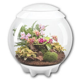 biOrb AIR 60 Nano-Terrarium in Weiß mit LED-Beleuchtung für Tropenpflanzen 60 Liter – Bild 1 von 10