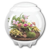 Produktbild von biOrb AIR 60 Nano-Terrarium in Weiß mit LED-Beleuchtung für Tropenpflanzen 60 Liter