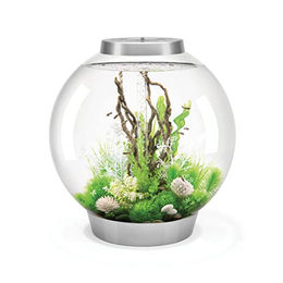 Produktbild von biOrb CLASSIC 105 MCR Rund-Aquarium für Fische Silber 105 Liter - 105 l