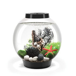 biOrb Classic 15 LED Aquarium Set Schwarz 15 Liter - 15 l – Bild 1 von 13