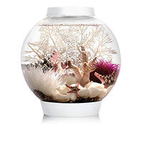 Produktbild von biOrb CLASSIC 15 LED Aquarium Weiß 15 L Komplett-Set mit Filtersystem - 15 l