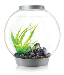 biOrb CLASSIC 60 LED Aquarium Silber - 60 l – Bild 1 von 13