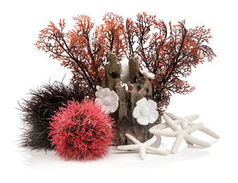 biOrb Decor Set 15L Red Forest Aquariendekoration für Fische mit künstlichen Wasserpflanzen Wurzeln und Steinen - 15 l – Bild 1 von 3