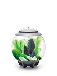 biOrb Decor Set Stone Garden 30L Aquariendekoration mit Schiefer und Steinen für Fische – Bild 1 von 4