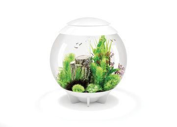 biOrb HALO 60 MCR LED-Aufsatzleuchte weiß – Bild 1 von 11