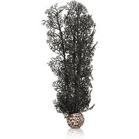 Produktbild von biOrb Hornkoralle Aquariendekoration Schwarz Größe M für Süßwasser und Meerwasser - 1 Stk.