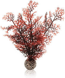 biOrb Hornkoralle dunkelrot S Aquariendekoration für Meerwasser-Aquarien – Bild 1 von 2