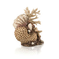 Produktbild von biOrb Korallen-Muschel Ornament Natural Figur und Höhle für Meerwasser Aquarien