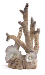 Produktbild von biOrb Korallen Ornament L Aquarium-Deko Figur und Höhle für Meerwasser-Aquarien in Braun/Beige