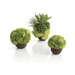 biOrb Korallenball Set grün Meerwasser Aquarien-Dekoration Kunstpflanze für Fischbecken – Bild 1 von 7