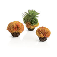 Produktbild von biOrb Korallenball Set Orange für Meerwasser